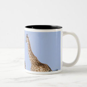 Etosha Nationalpark, Namibia Zweifarbige Tasse