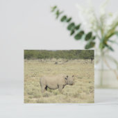 Etosha Rhinoceros Postkarte (Stehend Vorderseite)