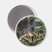 ets_yin_zazzle magnet (Vorderseite/Rückseite)