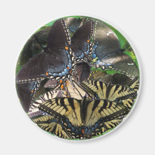 ets_yin_zazzle magnet