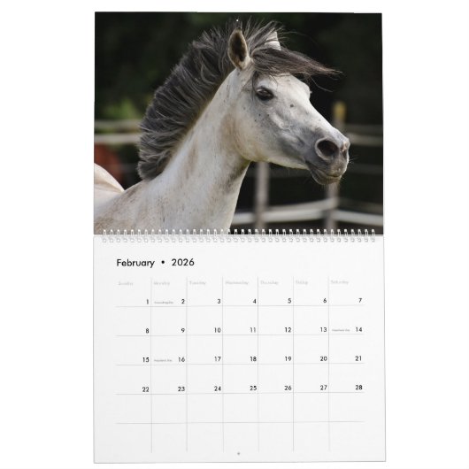Etsy_Calender (Pferd) Kalender (Feb 2026)