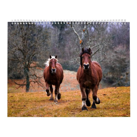 Etsy_Calender (Pferd) Kalender (Titelbild)