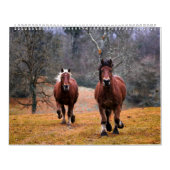 Etsy_Calender (Pferd) Kalender (Titelbild)