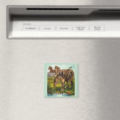 etwa 1900 Zebras-Druck Magnet (In Situ (Geschirrspüler))