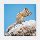 Etwas abschneiden für später magnet (Vorne)