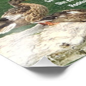 Etwas Fishy Fotodruck (Ecke)