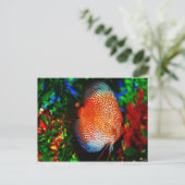 Etwas Fishy Postkarte (Stehend Vorderseite)