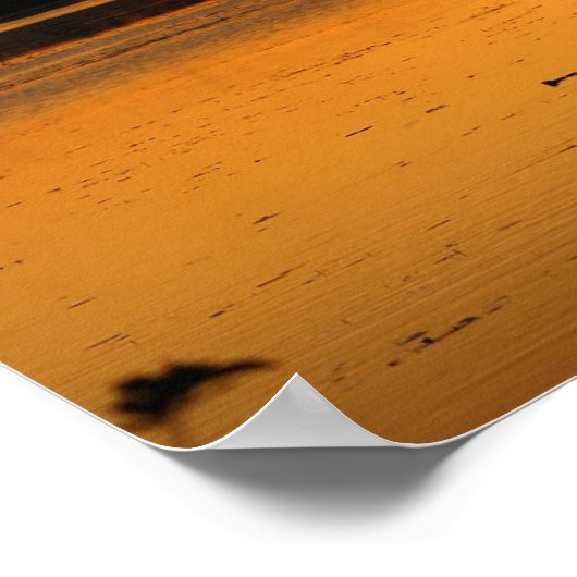 Etwas in Orange - Enten Poster (Ecke)