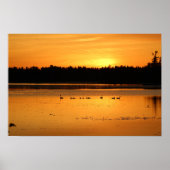 Etwas in Orange - Enten Poster (Vorne)