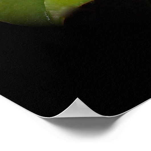 Etwas Südliches Poster (Ecke)