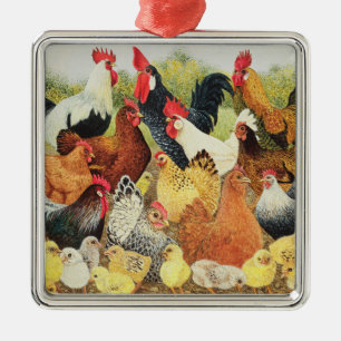 Etwas, ungefähr zu krähen silbernes ornament