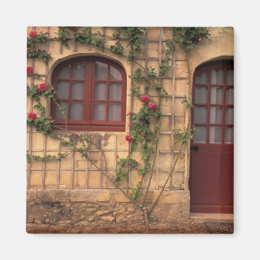EU, Frankreich, Loire Valley, Indre, et, Loire, Magnet (Vorne)