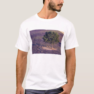 EU, Frankreich, Provence, Lavendelfelder T-Shirt