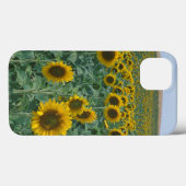EU, Frankreich, Provence, Sonnenblumenfeld Case-Mate iPhone Hülle (Rückseite (Horizontal))