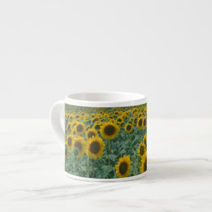 EU, Frankreich, Provence, Sonnenblumenfeld Espressotasse