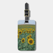 EU, Frankreich, Provence, Sonnenblumenfeld Gepäckanhänger (Vorderseite vertikal)