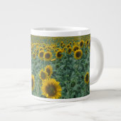 EU, Frankreich, Provence, Sonnenblumenfeld Jumbo-Tasse (Vorderseite Rechts)