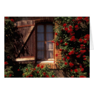EU, Frankreich, Provence, Vaucluse, Apt. Haus