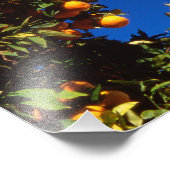 EU, Griechenland. griechisch-orthodoxe Kirche Fotodruck (Ecke)