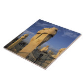 EU, Spanien, Katalonien, Barcelona. Antonio Gaudi Fliese (Seite)