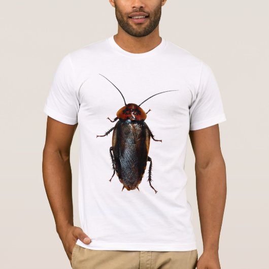 Eublaberus posticus (orange Hauptschabe) T-Shirt (Vorderseite)