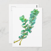Eucalyptus 01 postkarte (Vorne/Hinten)