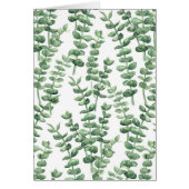 Eucalyptus 1 (Vorne)