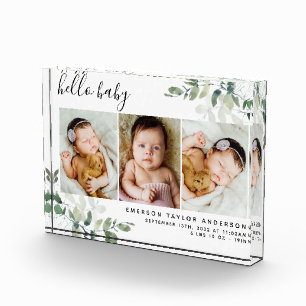 Eucalyptus 3 Foto Baby Birth Stats