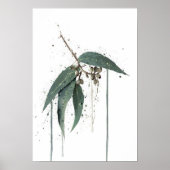 Eucalyptus’ (Australian) Poster (Vorne)
