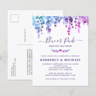 Eucalyptus Baby Gender Reveal Pink Blue