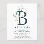 Eucalyptus Baby Shooting Instruction Flyer (Vorne)