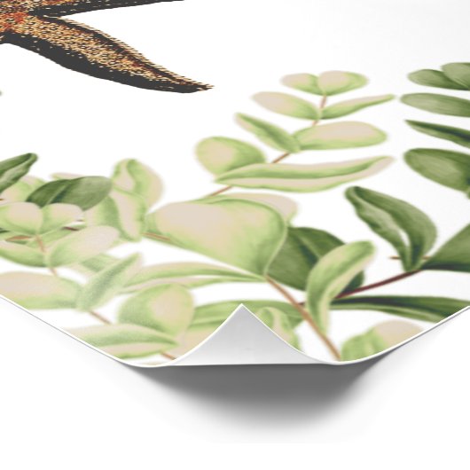 Eucalyptus Beach Starfish Hochzeitsprogramm Poster (Ecke)