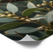 Eucalyptus Koala Calm Poster (Ecke)