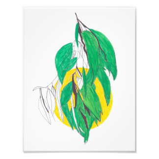 Eucalyptus Leaf Print Fotodruck