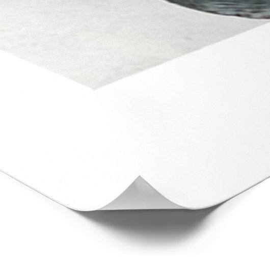 EUCALYPTUS TWIGS NO1, POSTER (Ecke)