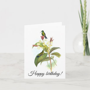 Eucephala caerulea (Blauchinniger Saphir) Karte