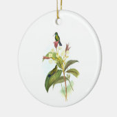Eucephala caerulea (Blauchinniger Saphir) Keramik Ornament (Links)