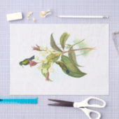 Eucephala caerulea (Blauchinniger Saphir) Seidenpapier (Handwerk)