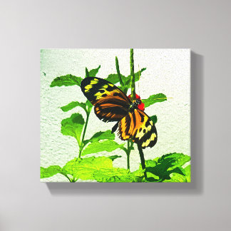 Eueides Isabella Leinwanddruck