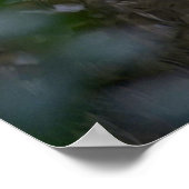 Euhu, Everglades, Florida Poster (Ecke)