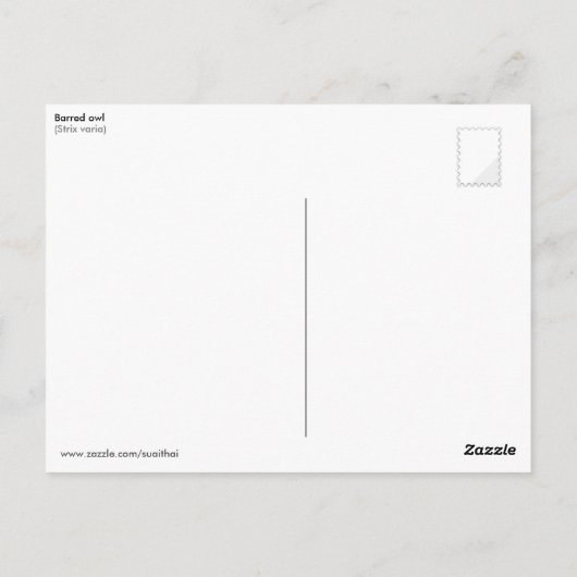 Euhu (Strix varia) Postkarte (Rückseite)