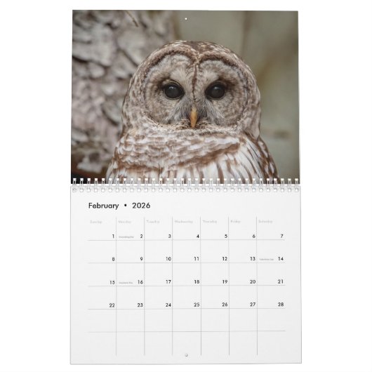 Eukalender 2026 kalender (Feb 2026)