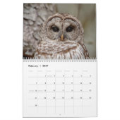 Eukalender 2026 kalender (Feb 2027)