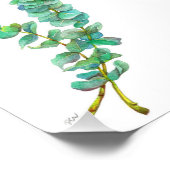 Eukalyptus 01 fotodruck (Ecke)