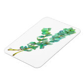 Eukalyptus 01 magnet (Linke Seite)