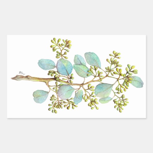 Eukalyptus 01 rechteckiger aufkleber (Vorderseite)