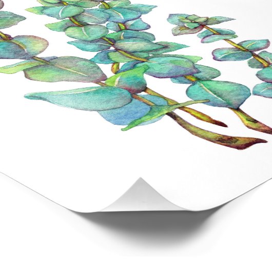 Eukalyptus 02 fotodruck (Ecke)