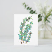 Eukalyptus 02 postkarte (Stehend Vorderseite)