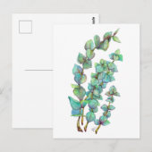 Eukalyptus 02 postkarte (Vorne/Hinten)