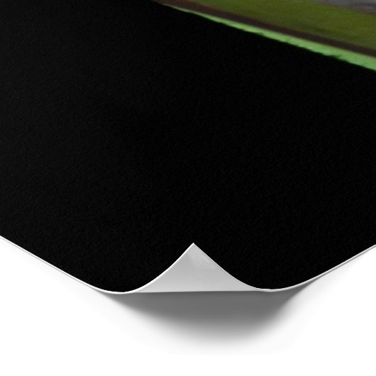 Eukalyptus-1 Poster (Ecke)